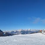 Wiedehopf