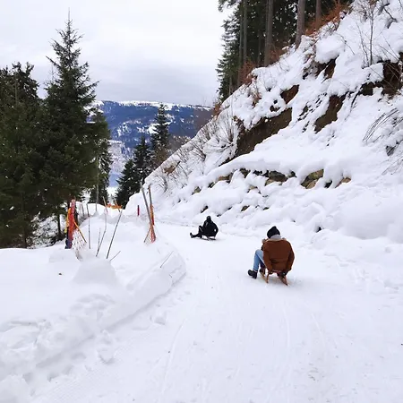 Wiedehopf Apartment *