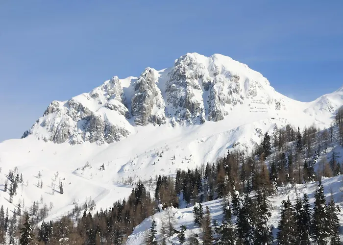 Appartement Wiedehopf *