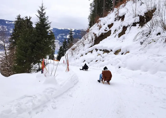 Wiedehopf Appartement *