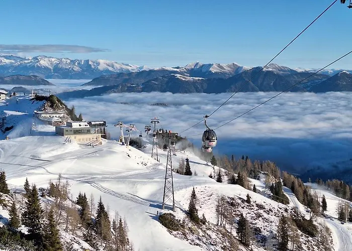 Wiedehopf Rattendorf